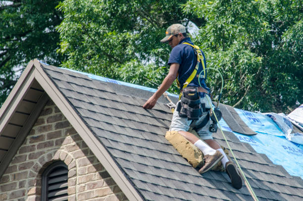 Best Gutter Installation and Roofing  in New Freedom, PA